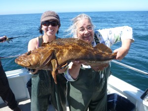 CCFRP_Recreational_Point_Lobos_Barnes_Roberson_Catch_Record_Lingcod_Starr_Lab_9-16-2013_10402-300x225