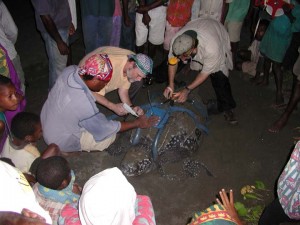 makata_papua new guinea leatherback conservation program