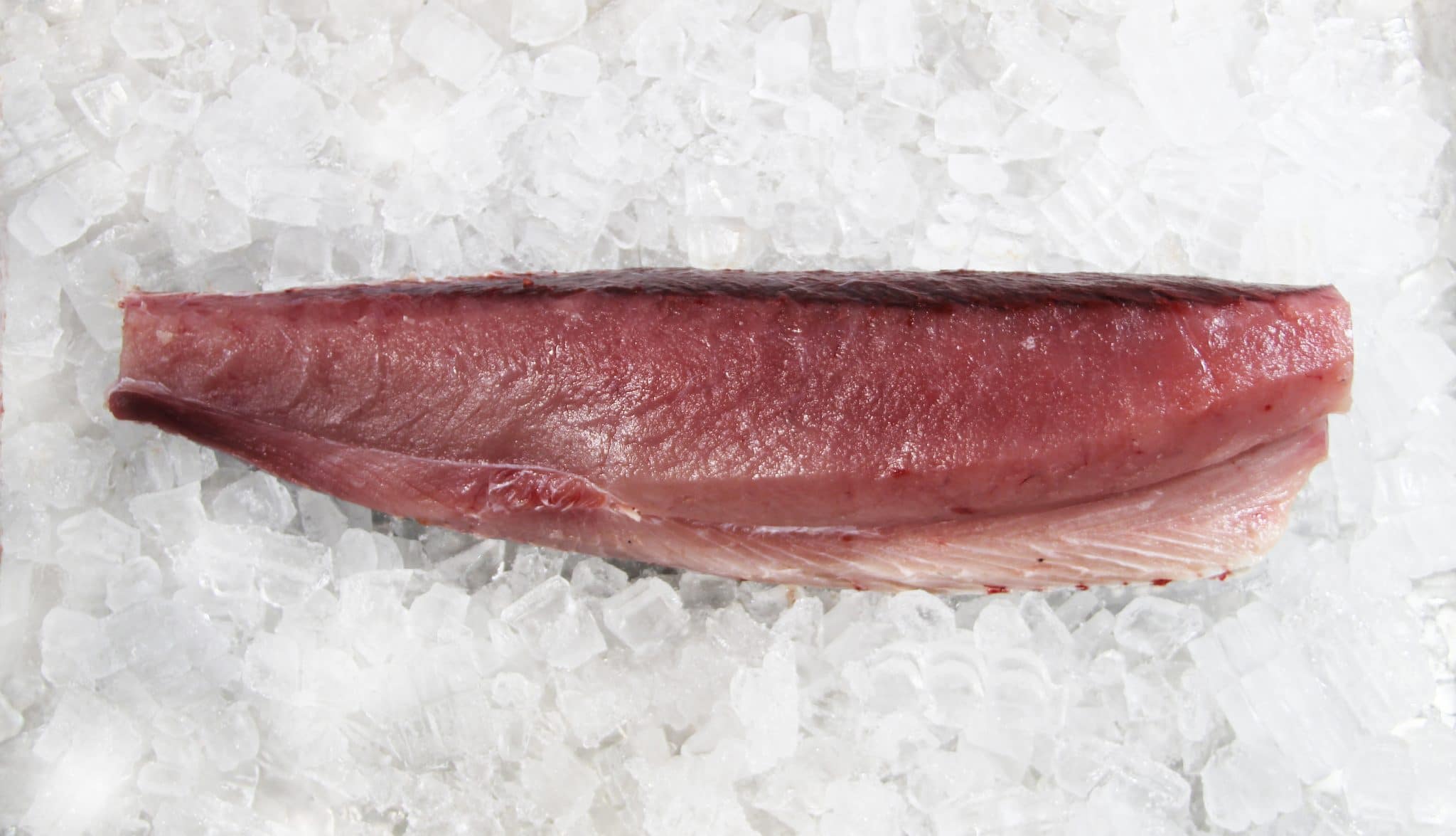 https://santamonicaseafood.com/wp-content/uploads/2016/02/ALB1001-premium-hawaiian-albacore-loin-tombo-scaled.jpg