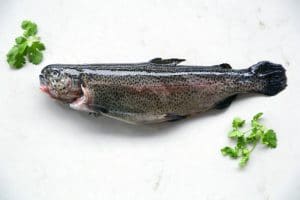 idaho rainbow trout whole