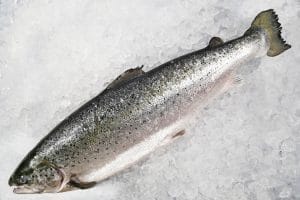 whole icelandic salmon