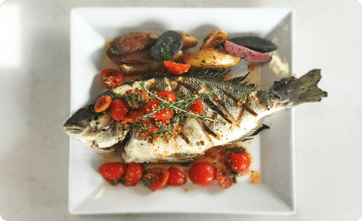 Gilt-head bream and Turbo fish